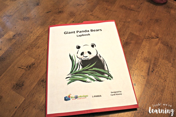 Giant Panda Bears Lapbook