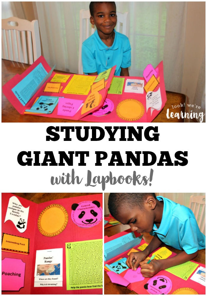 Giant Panda Lapbook for Homeschoolers