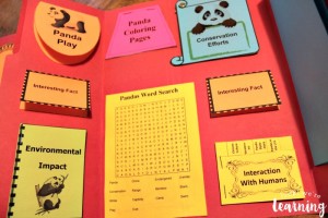 Inside the Giant Panda Lapbook