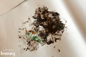 Making Leaf Prints with Kids