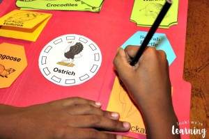 Studying Jackals with a Lapbook