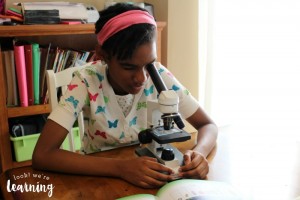 Testing Out a Microscope in Middle School