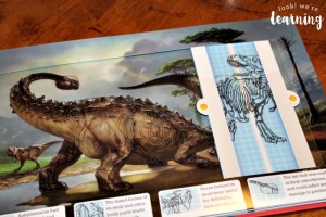 Examining Dinosaur Skeletons
