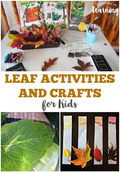 Fun Fall Leaf Activities for Kids @ Look! We're Learning!