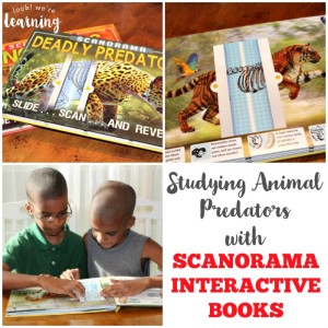 Reading about Animal Predators with Scanorama Interactive Books