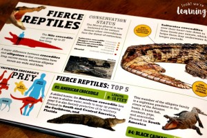 Reading about Fierce Reptiles