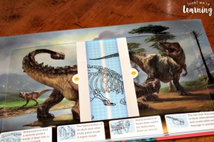 Scanning Dinosaur Skeletons