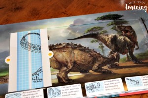 Viewing Dinosaur Skeletons