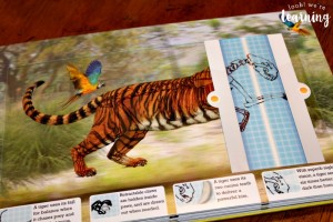Viewing Tiger Bones