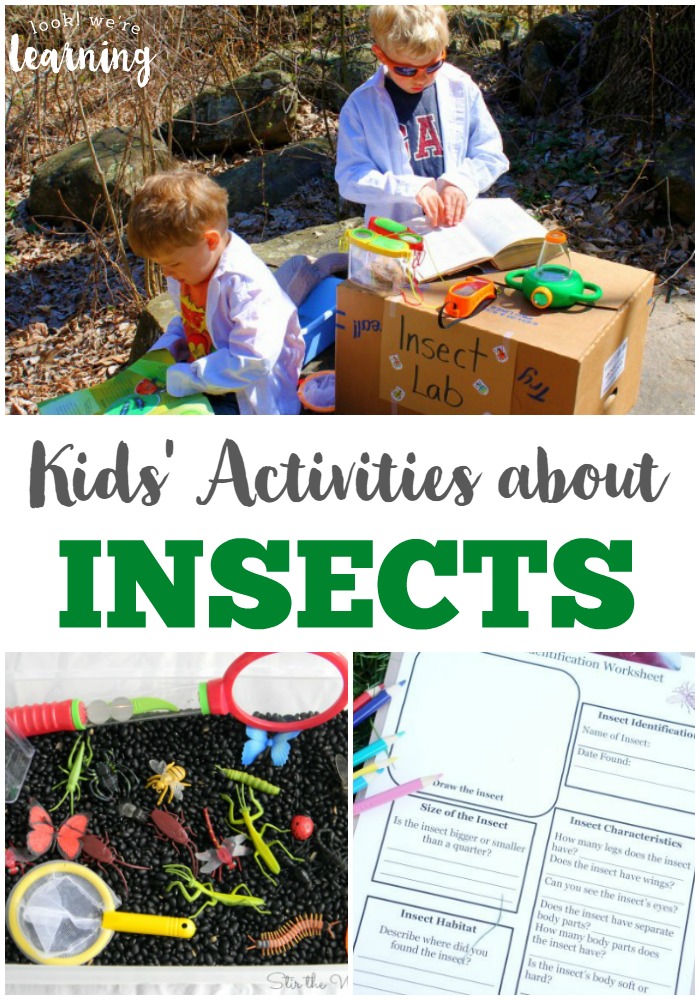 These fun insect activities for kids are perfect for learning about our creepy-crawly animal friends!