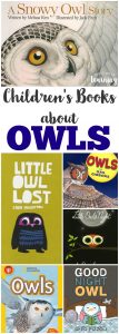 Learn about nocturnal flyers with these beautiful owl books for kids!