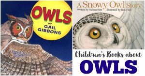 Owl Books for Kids to Read
