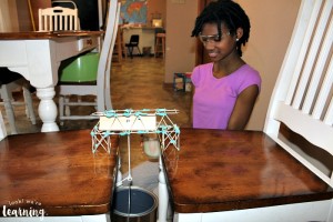 Testing the Strength of a Toothpick Bridge