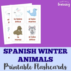 Spanish Winter Animal Flashcards - Look! We're Learning!