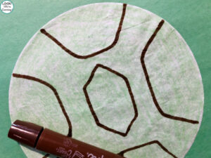 Drawing a Turtle Shell