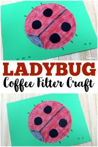 Make this simple and cute coffee filter ladybug craft with the kids this spring!