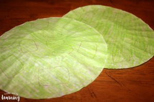 Making a Coffee Filter Turtle Craft