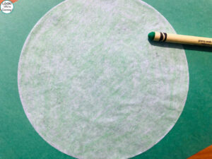Making a Simple Coffee Filter Turtle Craft