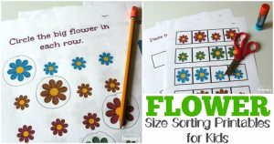 Printable Flower Size Sorting Printables