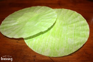 Simple Coffee Filter Turtles Craft