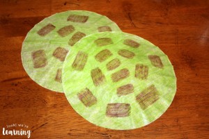Simple Turtle Craft from Coffee Filters