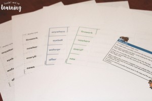 Nessy Reading & Spelling Compound Word Bingo Game
