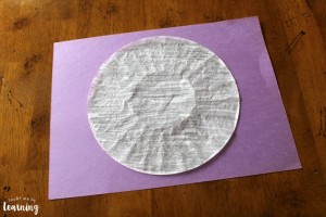 Simple Coffee Filter Cat Craft