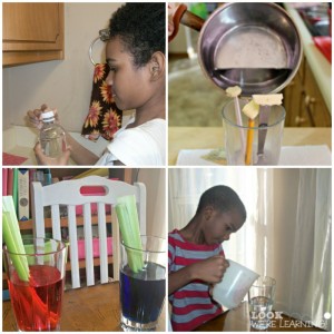 15 Minute Science Experiments for Kids