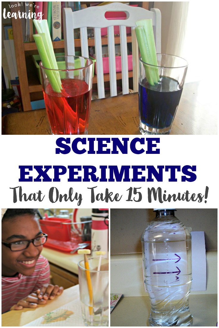 Try one of these easy 15 minute science lesson!