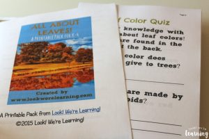 Homeschool Printing Service for Leaves Printable Pack