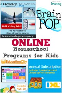 Want to enrich your child's education? Try one of these online supplemental homeschool programs this year!