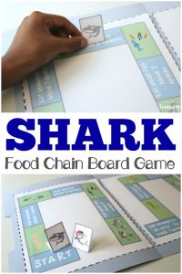 Learn about the fascinating world of sharks with this printable shark food chain game!