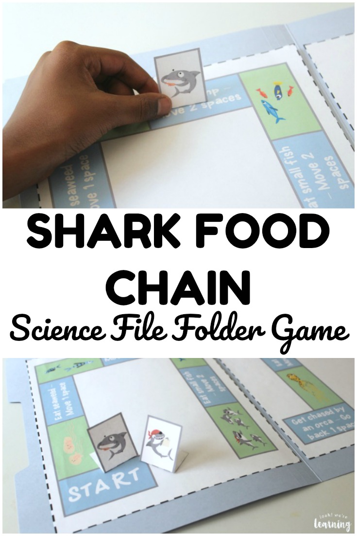 Learn about what sharks eat to live in this fun shark food chain file folder game!
