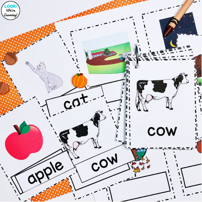 Fall Sight Words Flashcards - Look! We're Learning!