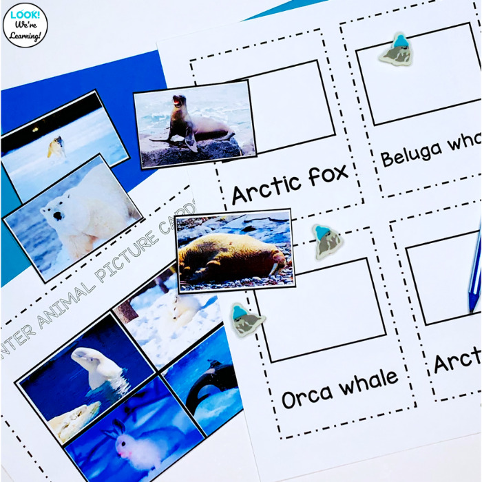 Arctic Animals Matching Cards