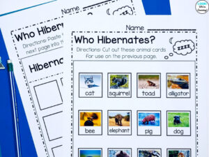 Elementary Hibernation Sorting Activity