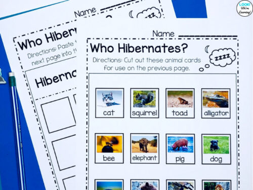 Simple Hibernation Unit Study for Elementary - Look! We're Learning!