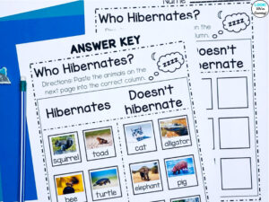 Hibernation Sorting Activity for Elementary
