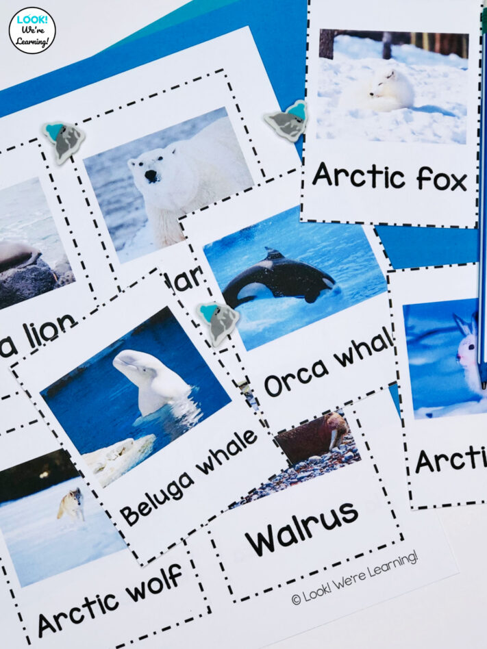 Learning about Arctic Animals with Kids