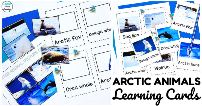 Printable Arctic Animals Flashcards for Kids
