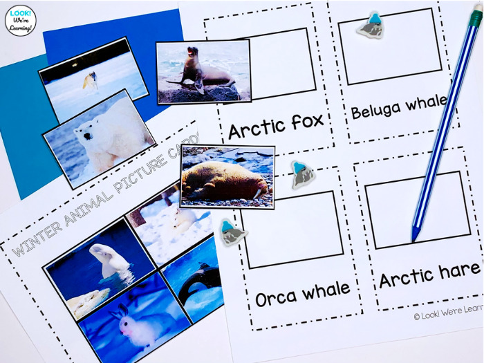 Printable Arctic Animals Matching Cards