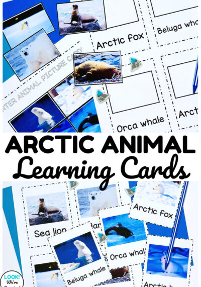 Teach early learners about animals that live in the Arctic regions with these Arctic Animals flashcards!