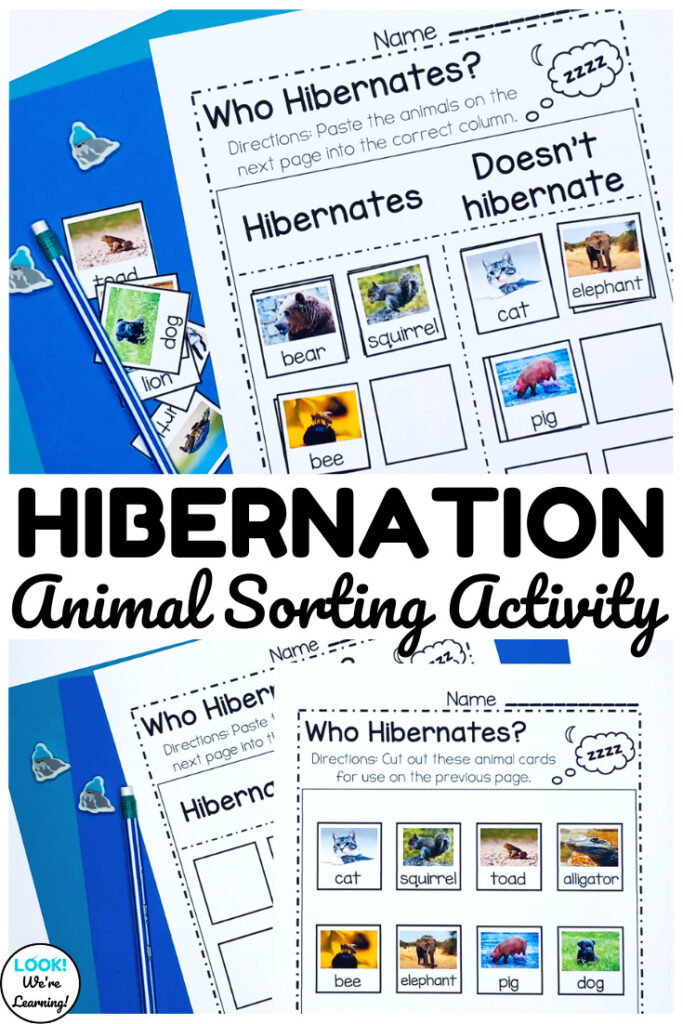This fun hibernation sorting activity is a great way to teach students about animals that hibernate!