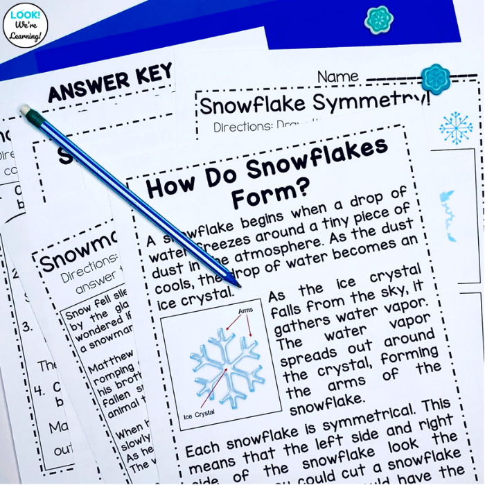 Early Elementary Snowflake Thematic Unit