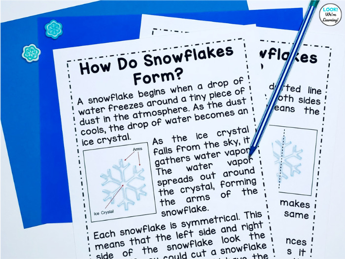 Learning How Snowflakes Form in Early Grades
