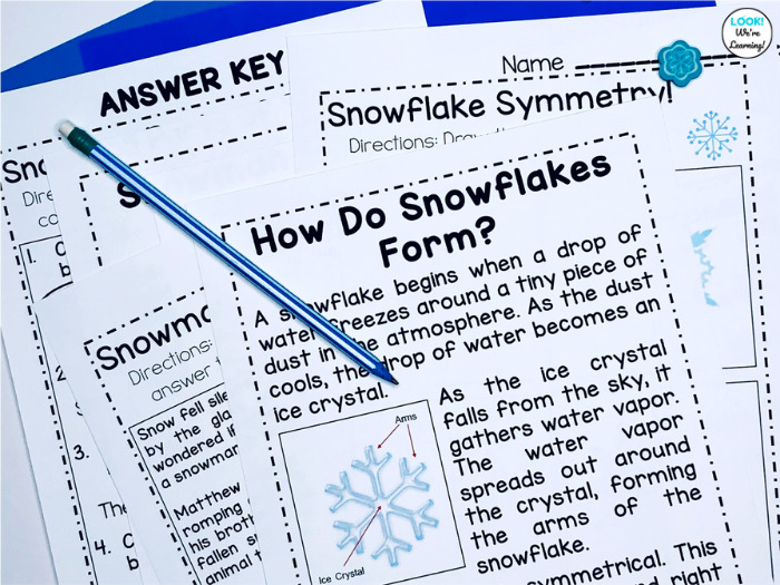 Learning about Snowflakes with Early Elementary Students