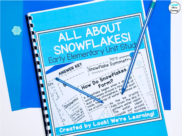 Printable Snowflake Themed Early Elementary Unit