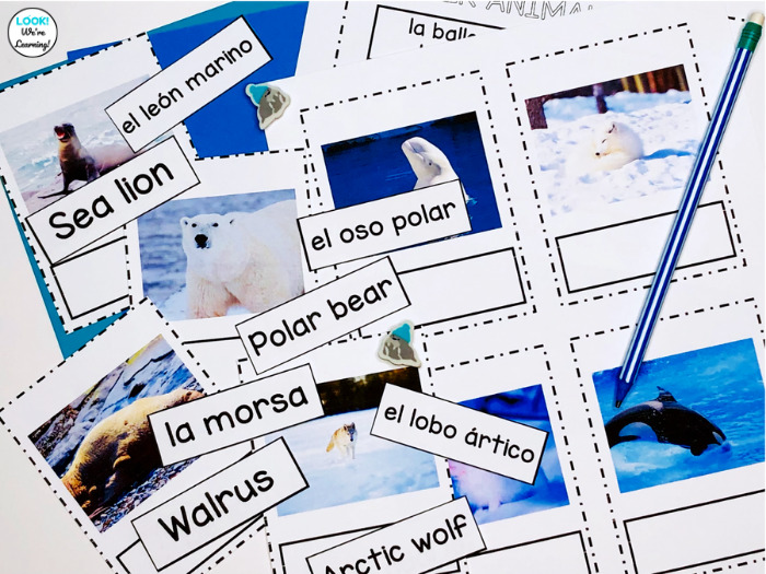Spanish Arctic Animal Labeling Cards