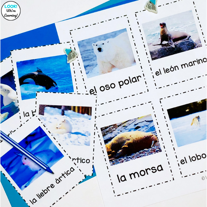 Spanish Arctic Animal Vocabulary Cards