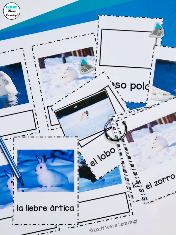 Spanish Arctic Animals Learning Cards for Kids